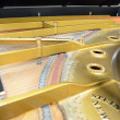 1899 One of a kind Steinway Concert Grand piano - Grand Pianos